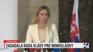 Tlačová beseda po zasadnutí Rady vlády pre mimovládne neziskové organizácie