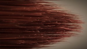 Bežné každodenné predmety ako ich nevidíte voľným okom