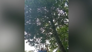 Unikátny záťah mestských policajtov v Žiline: S podberákom na ryby zachraňovali papagája