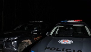 V Demänovskej Doline naháňal medveď dve osoby, žena neprežila