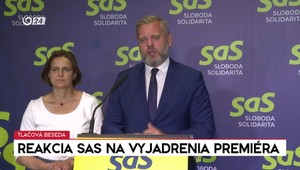 Tlačová beseda strany SaS: Reakcia na vyjadrenia premiéra Fica