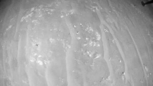 NASA zverejnila video a fotografiu z Marsu: Konečne sa dostali aj na verejnosť