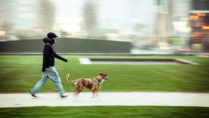 Cez štvorprúdovku v Prešove prebiehajú bežne chodci, mesto problém rieši