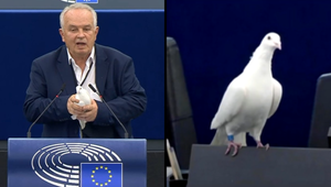 Holub mieru v europarlamente prežil, no Radačovskému hrozí trest