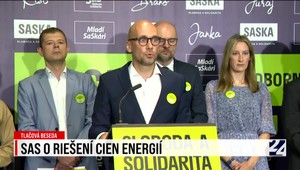 Tlačová beseda strany SaS k energiám