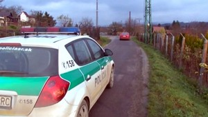 Neodradil ho ani doživotný zákaz šoférovať. Po zastavení políciou skončil pred súdom