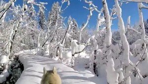 Na Plitvických jazerách to vyzerá ako v rozprávke