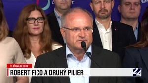 Tlačová beseda strany Demokrati k Ficovi a druhému pilieru