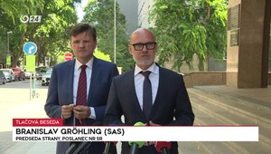 Tlačová beseda SaS k rozkrádaniu v štátnych lesoch