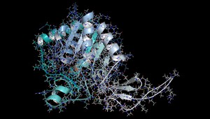 Vedci zistili, že gén SIRT6 dokáže predĺžiť ľudský vek