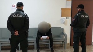 Za útok na policajta za mreže. Sudca ho uznal za vinného