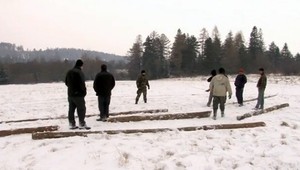 Osadníci z Výbornej kradli drevo, urbárníci sú zúfalí