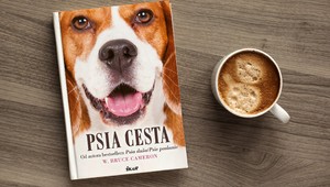 Oddanosť, ktorá zdolá všetky prekážky