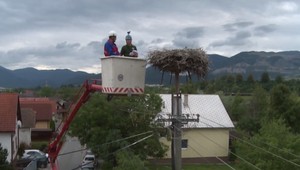 Akcia s krycím názvom dva v jednom. Na muške mali bocianov