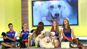 Veľký úspech slovenských detí a ich psíkov. Sú majstrami Európy