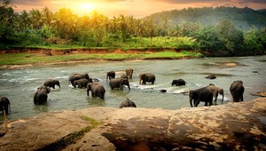 Exotická Srí Lanka: 8 dôvodov, prečo je rajom na zemi