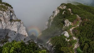 Viete čo je vidmo alebo gloriola? Teraz je najlepší čas ich zazrieť