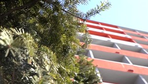 Študentka vypadla z piateho poschodia internátu