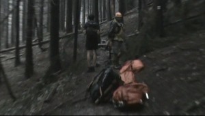 Prietrž mračien? Turistu zabili popadané stromy