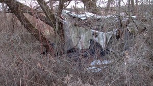 Odišiel z domu, v telefóne rodine povedal, že potrebuje lekársku pomoc. Policajti ho našli mŕtveho