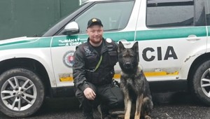 Zásah ako z filmu: K dolapeniu zlodeja pomohol pes