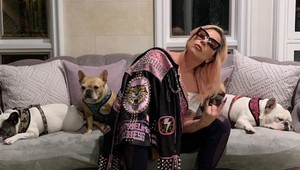 Speváčke Lady Gaga ukradli dvoch psov, únosca spoznal svoj TREST!