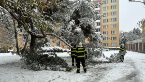 Sneh, nehody, kolóny i bežkár. Slováci si zvykajú na nové problémy
