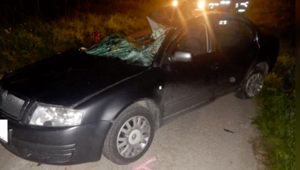 Adrián (20) pod vplyvom alkoholu narazil do stĺpa, jeho kamarát (18) cestu na párty neprežil