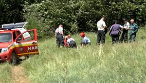 Muža zasiahol do hlavy strom. Záchranári mu už nevedeli pomôcť