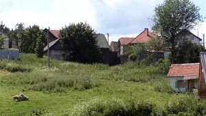 Pokojná dedina sa stala nebezpečnou, tvrdí obyvateľka obce. Postrachom sú deti z osady