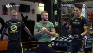 Česko sa ujalo vedenia, Dohnal uškrtil Veliča