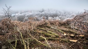 Vedci varujú pred záhubou. Nebude dosť potravín, varuje ekológ