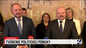 Tvorenie politickej ponuky a pohľad politológa Řádeka