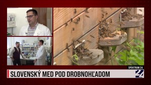 Spektrum 24 o výskume slovenského medu