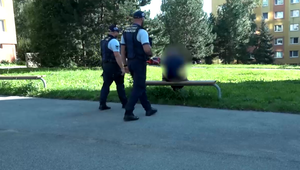 Ďalší naháč v uliciach: V meste vyčíňal 70-ročný exhibicionista