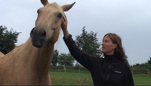 Zachraňujú kone odsúdené na smrť