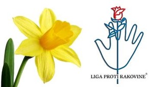 Liga proti rakovine - 16. apríl, Deň narcisov