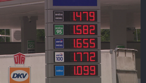 Zmeny v cene palív: Budeme toto leto tankovať výhodnejšie?