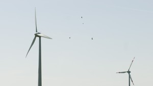 Kým susedia stavajú veterné parky, Slovensko váha. Prečo tomu tak je?