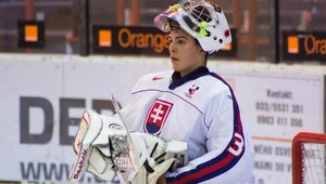 Tomek sa rozprával so zástupcami 19 klubov NHL