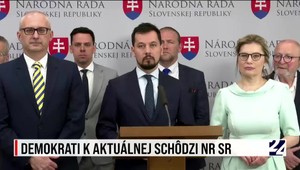 Poslanci pôsobiaci v Demokratoch nepodporia mimoriadnu schôdzu o cenách