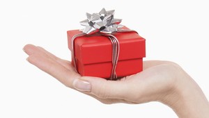 Nahnevaný oslávenec utopil BMW od rodičov. Želal si totiž Jaguar