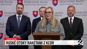 Tlačová beseda strany SaS o ruských nákupoch v KĽDR