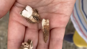 Chlapec (7) našiel na pláži zuby: Archeológovia potom odhalili masový hrob