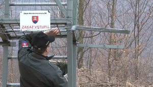 Mladý pár zablúdil a ocitol sa na vojnovom území. Dvojicu objavila pohraničná služba