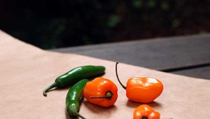 Aj oči by jedli: Týchto 10 potravín je výborných pre váš zrak