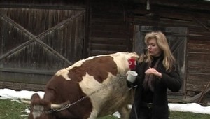 Brepty redaktorov Novín TV JOJ