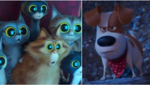 Odvážna zvieracia kinopremiéra: Fakty, ktoré ste možno netušili o Tajnom živote maznáčikov!