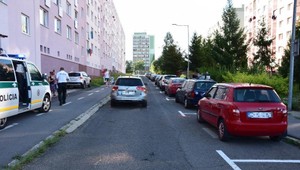 Vodičke vbehol do cesty 7-ročný chlapec. Zrážke nedokázala zabrániť