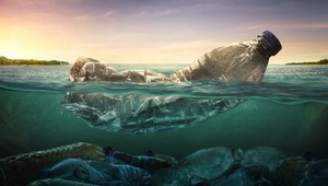 Všadeprítomné plasty: Koľko ich vlastne zjeme, vypijeme a vdýchneme?